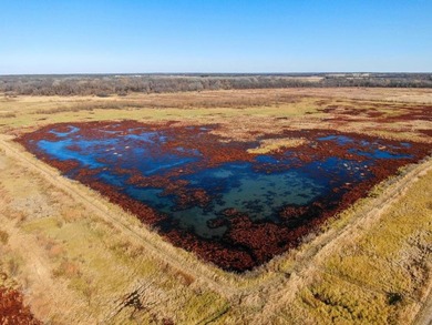 This riverfront gem is a flat-out fantastic waterfowl hunting - photo 24