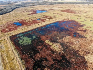 This riverfront gem is a flat-out fantastic waterfowl hunting - photo 26