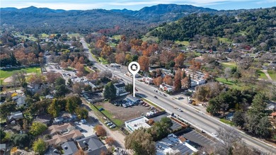 Prime Commercial Office Professional Opportunity on Busy Main - photo 31