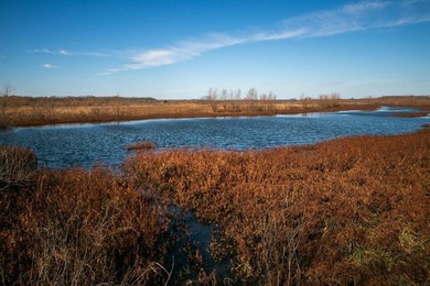 This riverfront gem is a flat-out fantastic waterfowl hunting - photo 33