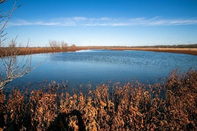 This riverfront gem is a flat-out fantastic waterfowl hunting - photo 34