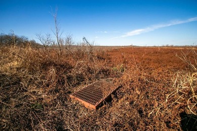This riverfront gem is a flat-out fantastic waterfowl hunting - photo 35