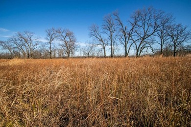 This riverfront gem is a flat-out fantastic waterfowl hunting - photo 36
