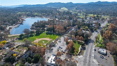 Prime Commercial Office Professional Opportunity on Busy Main - photo 38