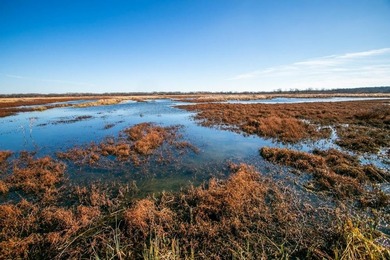 This riverfront gem is a flat-out fantastic waterfowl hunting - photo 39