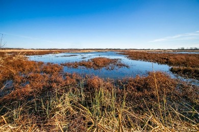 This riverfront gem is a flat-out fantastic waterfowl hunting - photo 41