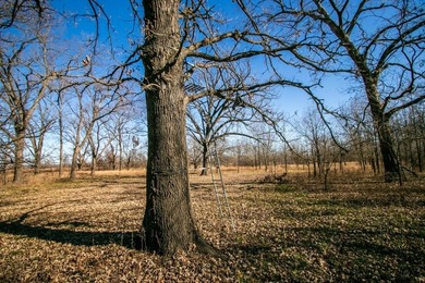 This riverfront gem is a flat-out fantastic waterfowl hunting - photo 42