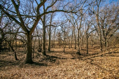 This riverfront gem is a flat-out fantastic waterfowl hunting - photo 43