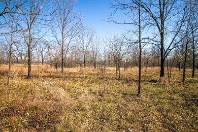 This riverfront gem is a flat-out fantastic waterfowl hunting - photo 44