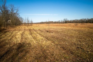 This riverfront gem is a flat-out fantastic waterfowl hunting - photo 45