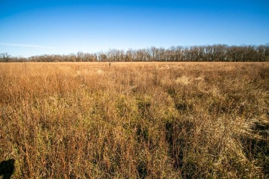 This riverfront gem is a flat-out fantastic waterfowl hunting - photo 46