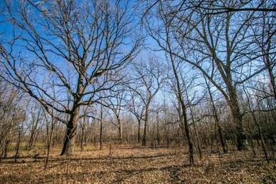 This riverfront gem is a flat-out fantastic waterfowl hunting - photo 47