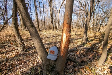 This riverfront gem is a flat-out fantastic waterfowl hunting - photo 50