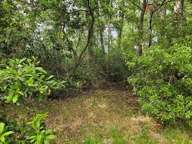 This charming, wooded lot is located on the Fairfield Harbor - photo 3