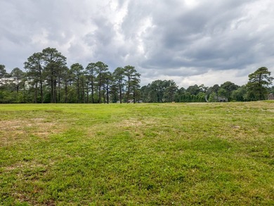 This charming, wooded lot is located on the Fairfield Harbor - photo 6