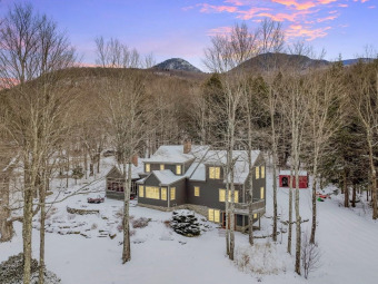 (private lake) Home For Sale in Stowe Vermont