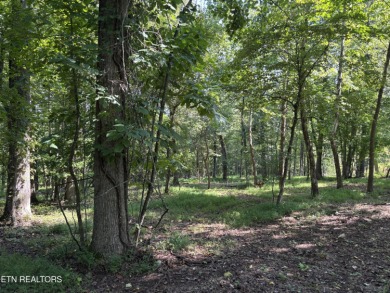 (private lake, pond, creek) Lot For Sale in Rockwood Tennessee