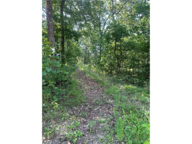 Lake of the Ozarks Acreage For Sale in Climax Springs Missouri
