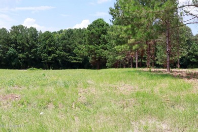 Spring Lake - Rankin County Lot For Sale in Pearl Mississippi
