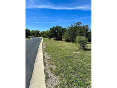 Beautiful lot located in the city of sought after Horseshoe Bay - photo 2