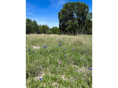 Beautiful lot located in the city of sought after Horseshoe Bay - photo 5