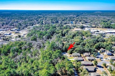 Now is your chance to build your dream home in Freeport, Florida - photo 4