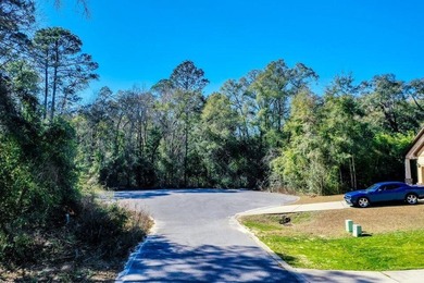 Now is your chance to build your dream home in Freeport, Florida - photo 6