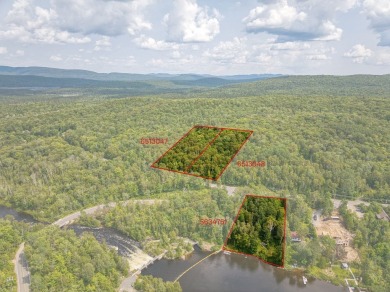 Lake Lot For Sale in Saint-Donat, 