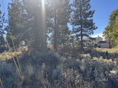 Huge .30 of an acre, corner parcel with numerous large mature - photo 11
