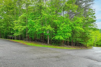 This is the perfect lot for your dream home! Discover an - photo 11