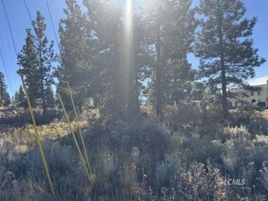 Huge .30 of an acre, corner parcel with numerous large mature - photo 12