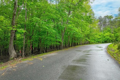 This is the perfect lot for your dream home! Discover an - photo 12