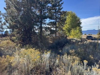 Huge .30 of an acre, corner parcel with numerous large mature - photo 13