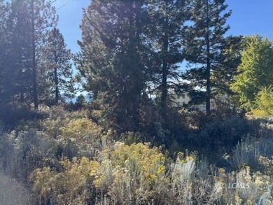 Huge .30 of an acre, corner parcel with numerous large mature - photo 14