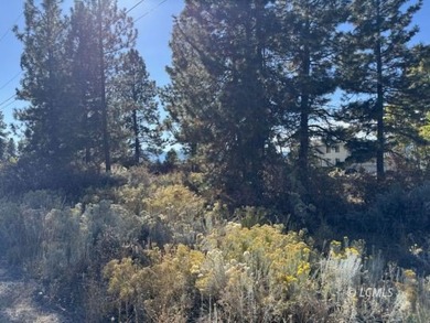 Huge .30 of an acre, corner parcel with numerous large mature - photo 15