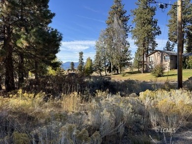 Huge .30 of an acre, corner parcel with numerous large mature - photo 16