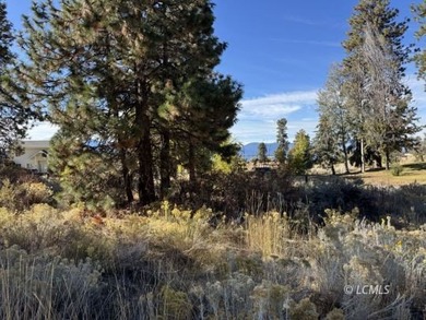 Huge .30 of an acre, corner parcel with numerous large mature - photo 17