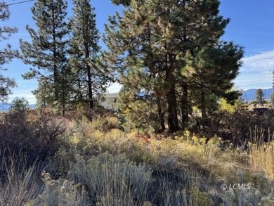 Huge .30 of an acre, corner parcel with numerous large mature - photo 18