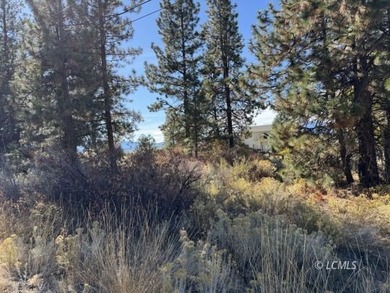 Huge .30 of an acre, corner parcel with numerous large mature - photo 19