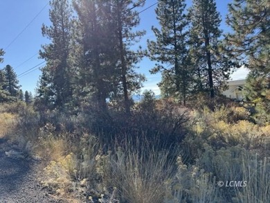 Huge .30 of an acre, corner parcel with numerous large mature - photo 20