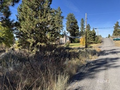 Huge .30 of an acre, corner parcel with numerous large mature - photo 21