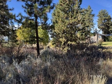 Huge .30 of an acre, corner parcel with numerous large mature - photo 22