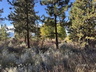 Huge .30 of an acre, corner parcel with numerous large mature - photo 23