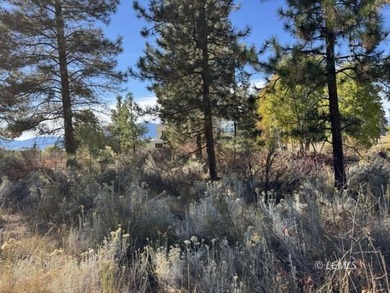Huge .30 of an acre, corner parcel with numerous large mature - photo 24