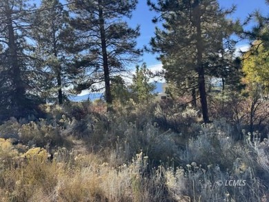 Huge .30 of an acre, corner parcel with numerous large mature - photo 25