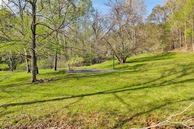This is the perfect lot for your dream home! Discover an - photo 25