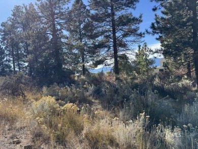 Huge .30 of an acre, corner parcel with numerous large mature - photo 26