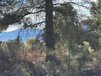 Huge .30 of an acre, corner parcel with numerous large mature - photo 27