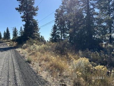 Huge .30 of an acre, corner parcel with numerous large mature - photo 28