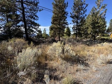 Huge .30 of an acre, corner parcel with numerous large mature - photo 29